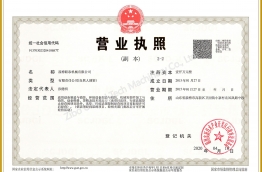 Business License